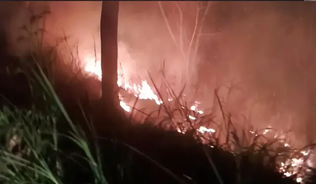 Bukit Senggigi Terbakar Malam Hari, Warga dan Damkar Kompak Padamkan Api dalam 30 Menit