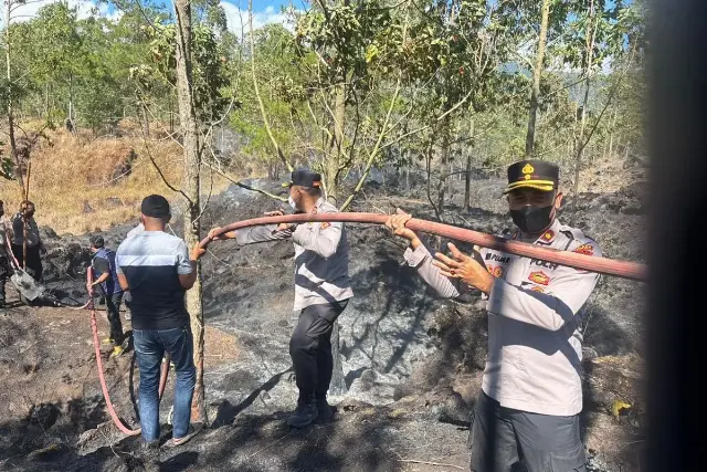 Hutan Gunung Batur Terbakar Lagi, Kali Kedua dalam Sebulan di Titik yang Sama