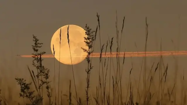 September 2026 Bakal Dihiasi Hujan Meteor sampai Harvest Moon, Ini Jadwal Lengkapnya