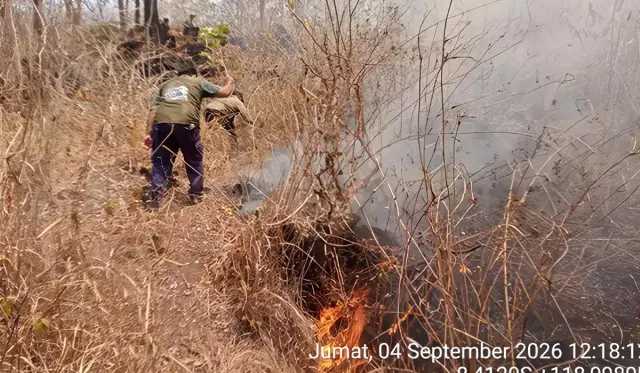 Tambora Terbakar 4 Hari, 834 Hektare Hangus di Tiga Lokasi