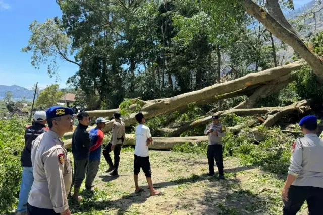 Kintamani Diterjang Angin 27 Knot, BMKG Ingatkan Warga Bali Waspada Sampai Besok